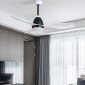 RX48-056 ceiling fan